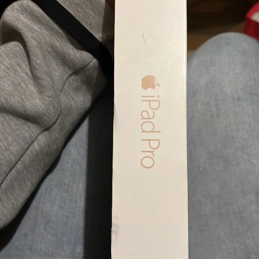 iPad Pro 9.7 inch